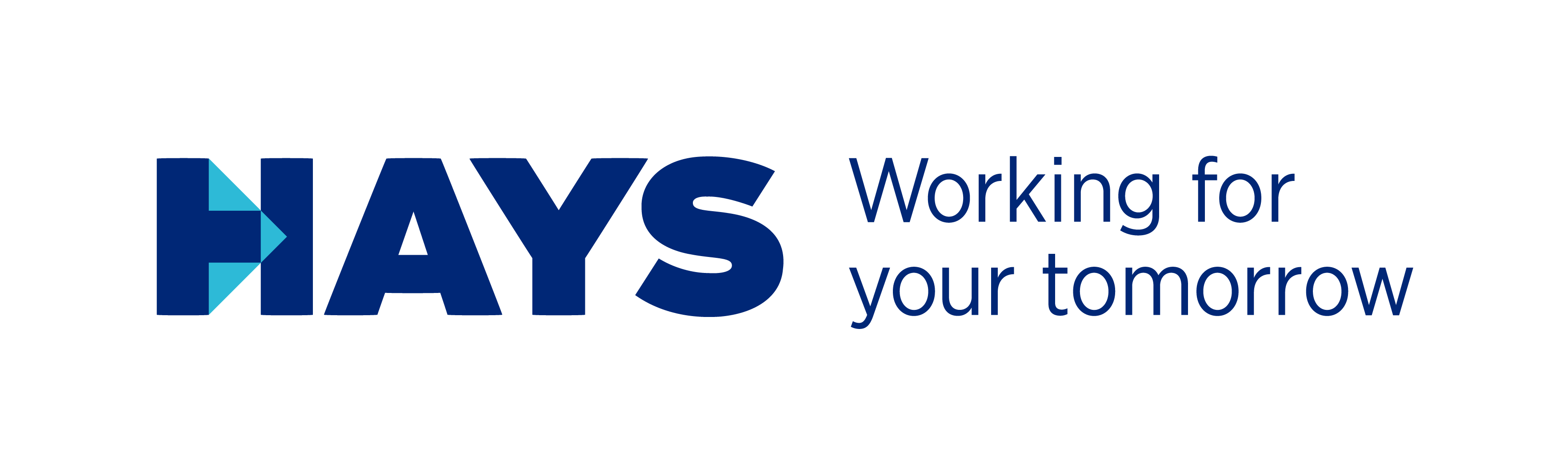 HAYS Logo